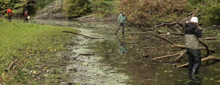 Mikulčické rameno v CHKO Soutok