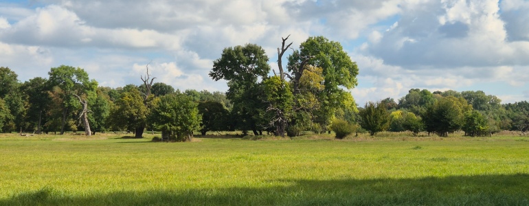 Krajina CHKO Soutok.