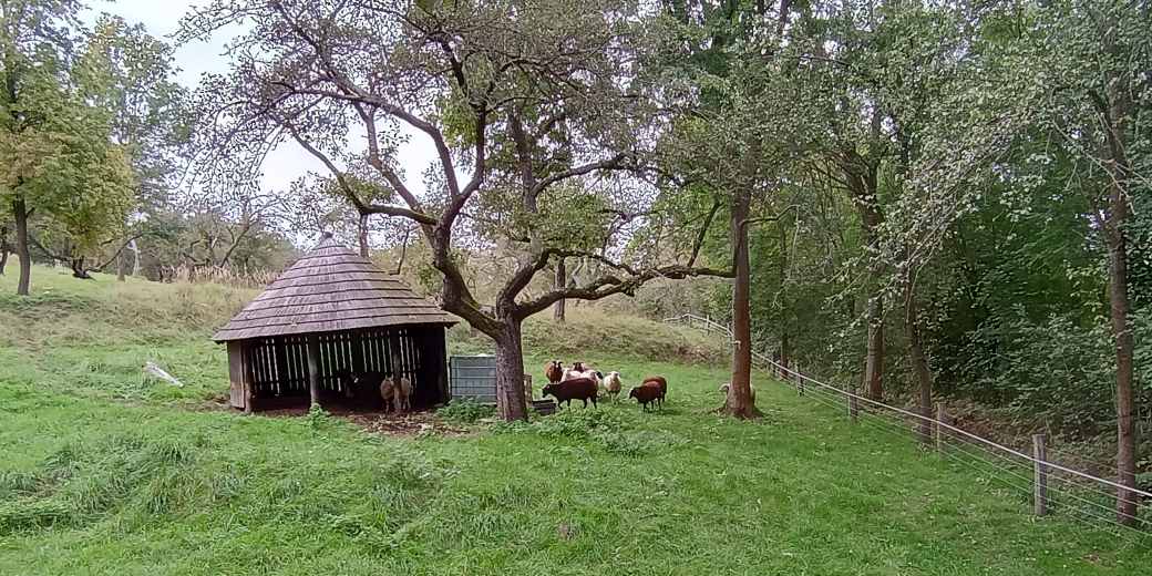 Informujeme o vyhlášení navazující 13. výzvu v Operačním programu Životní prostředí – Zjednodušené metody vykazování v Projektovém schématu AOPK ČR