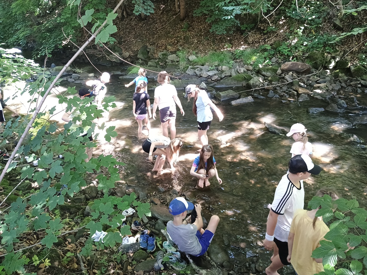 Voda  Malá Bystřice