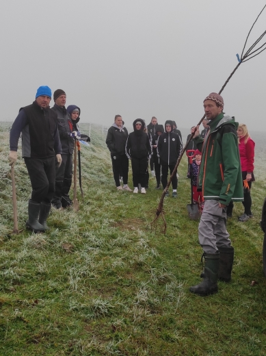 Dobrovolníci vysazují stromky nedaleko Brloha.