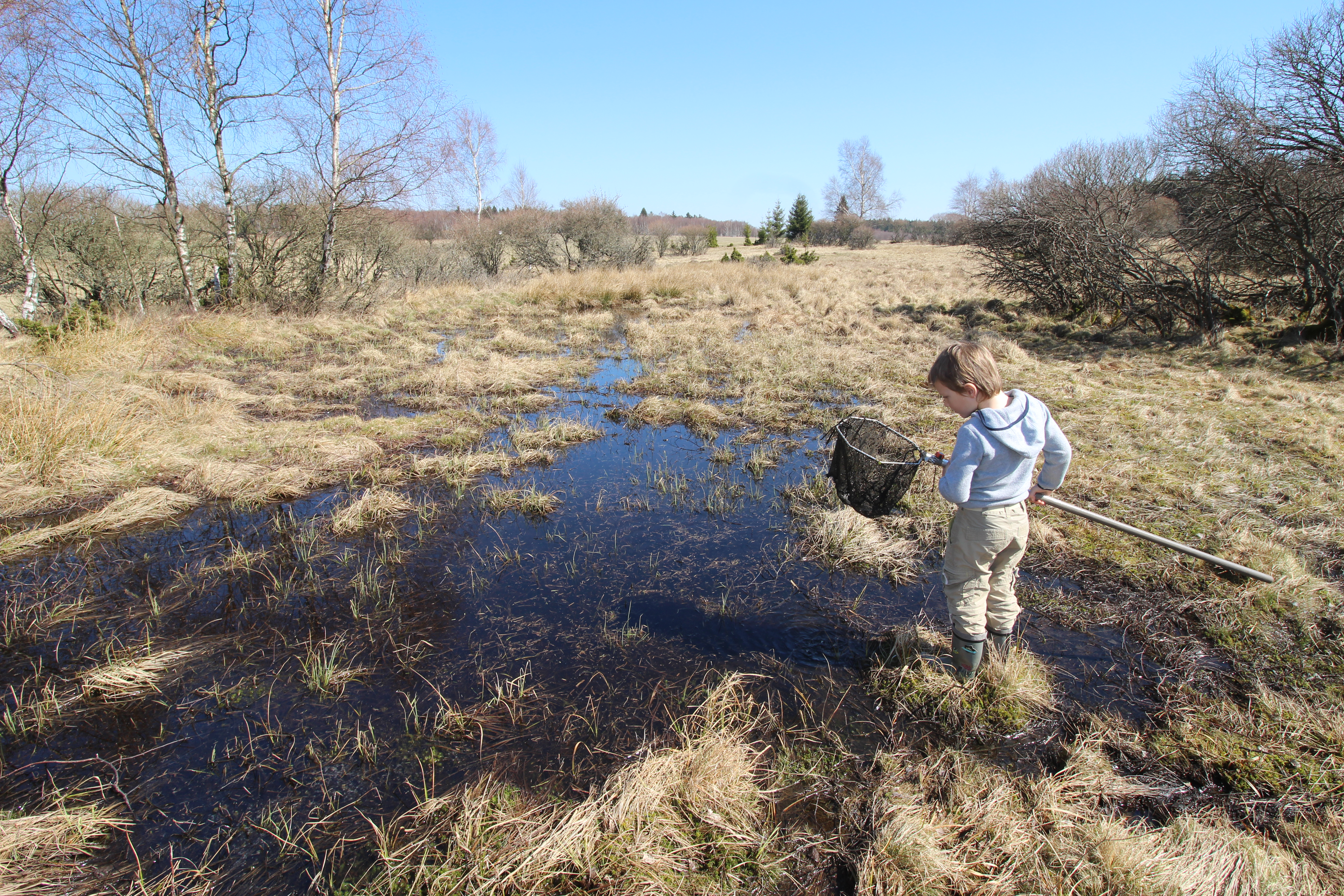 Setkání v přírodě